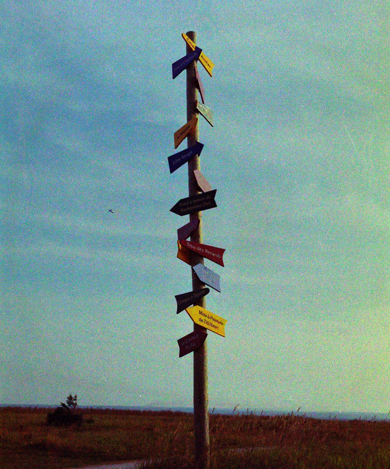 A tall signpost covered in direction arrows, converted with Matinee